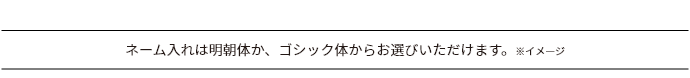 シルク風表紙箔押し説明